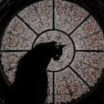 Расклады таро