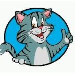 Смешные коты | котики | котята