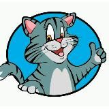 Смешные коты | котики | котята