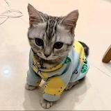 Слезы на увядшем цветке | Слезы на увядших цветках