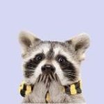 Животные и домашние питомцы