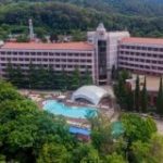 «Зеленая Долина» Он-лайн