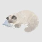 уютный лайф