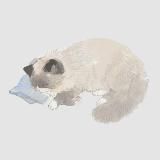 уютный лайф