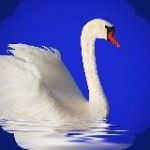 Родник | О Родине