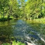 VIA NATURA AKADEMIE – Zentrum & Akademie für Bewusstsein l Ernährung l Gesundheit l Heilung