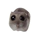 (не)Грустный хомяк