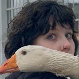 рей для ушей