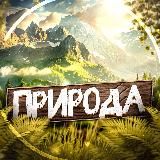 Nature | Природа | Красивые Видео Путешествия