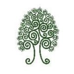 Сибирский кедр