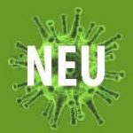 WAS WIRKLICH IST – ENDE DER TÄUSCHUNG