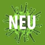 WAS WIRKLICH IST – ENDE DER TÄUSCHUNG