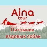 Айна Тур Собачьи упряжки Сахалин