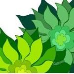 Добрая Работа: ЗОЖ, творчество, саморазвитие