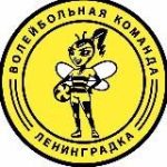 Волейбольная команда «Ленинградка»