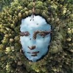 Окружающий Мир