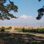 Новости Ленинградская область и Петербург