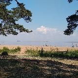 Новости Ленинградская область и Петербург