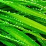 Свежие стихи