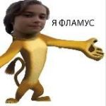 FL4MUS official page