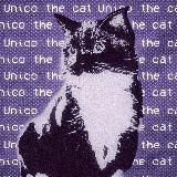 The Unico Cat!