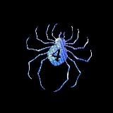 Главное за день: коротко и по делу”