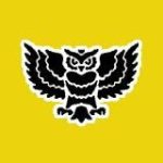 Ночной дозор