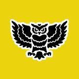 Ночной дозор