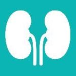 Урология и андрология