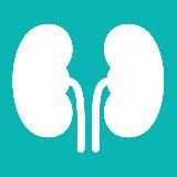 Урология и андрология