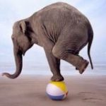 QA – Load & Performance