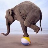 QA – Load & Performance