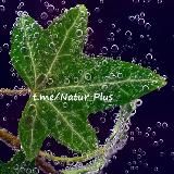 NaturPlus*