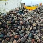 Лев дрочит буквы в пустоту