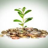 Путь к свободе