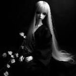 Liriorial | языки и темы