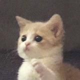 Пикчи для пикапа