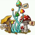 Грибник Илюша