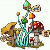 Грибник Илюша