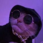 приложухиинфа