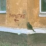 Делай то, что ближе ⬛