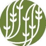 Palais des Thés | Пале де Тэ