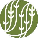 Palais des Thés | Пале де Тэ