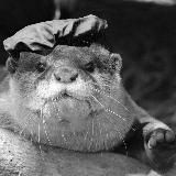 ШТРОШЕРЕР В АДУ (ЛЕНТА СОБЫТИЙ)