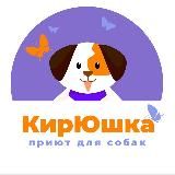 Приют «КирЮшка» г. Киров