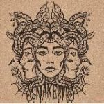 Аналитическая богадельня