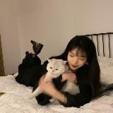 𝘋𝘈𝘕𝘊𝘌 𝘗𝘙𝘈𝘊𝘛𝘐𝘊𝘌