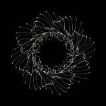 🄼🄰🄽🅃🅁🄰🅂