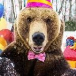 Медведь Мансур