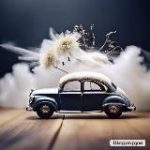 Твоя ласточка